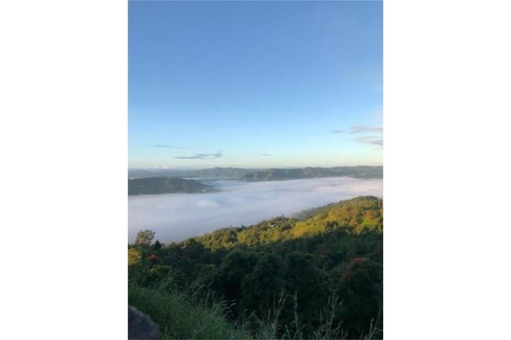 Jaguas Gurabo 00778 PR
