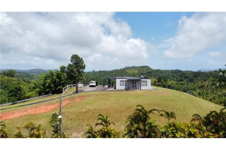Guayabota Yabucoa 00767 PR
