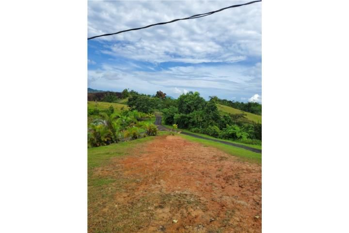 Guayabota Yabucoa 00767 PR