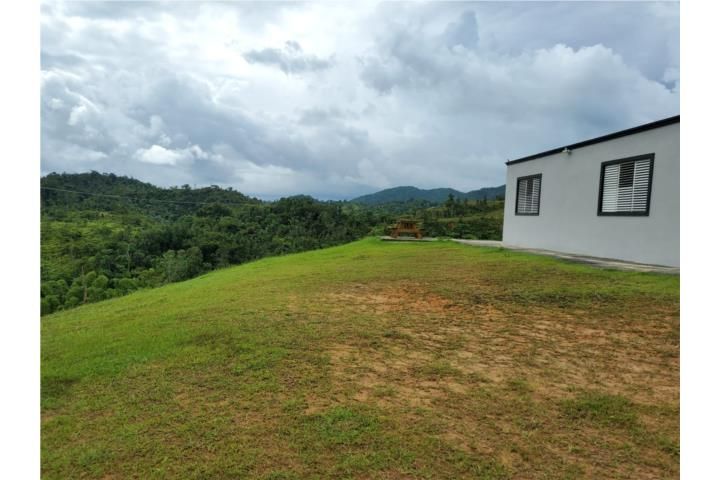 Guayabota Yabucoa 00767 PR