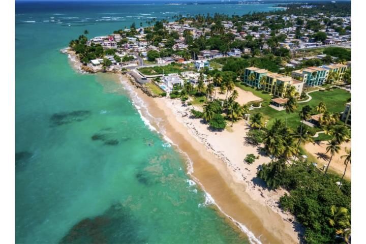 Medianía Alta Loiza 00772 PR