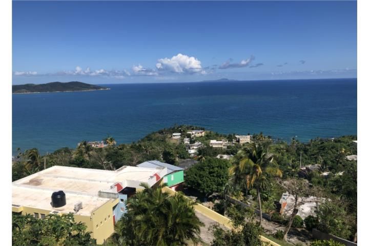 Cam. Nuevo Yabucoa 00767 PR