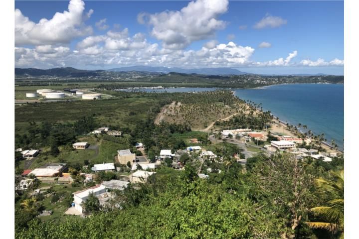 Cam. Nuevo Yabucoa 00767 PR