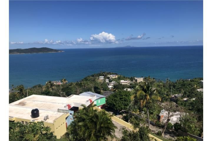 Cam. Nuevo Yabucoa 00767 PR