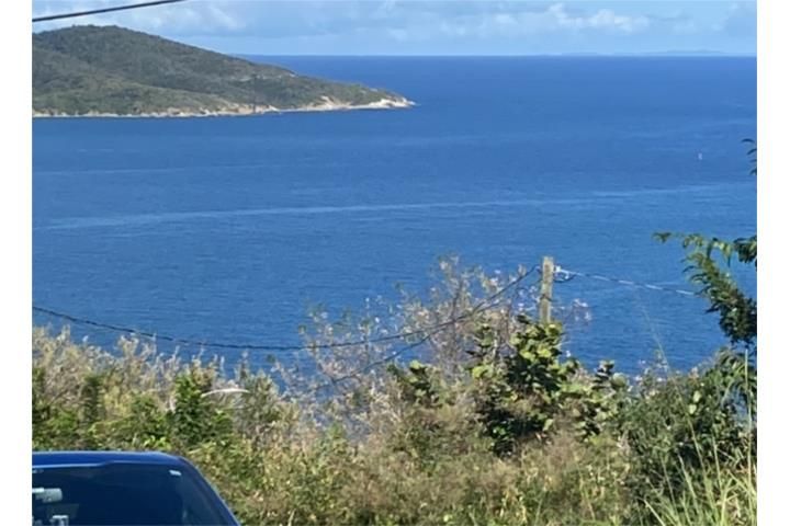 Cam. Nuevo Yabucoa 00767 PR