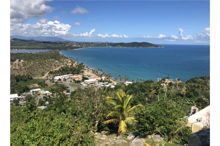 Cam. Nuevo Yabucoa 00767 PR