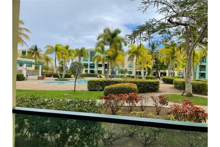 C5f6+wjv Loiza 00772 PR