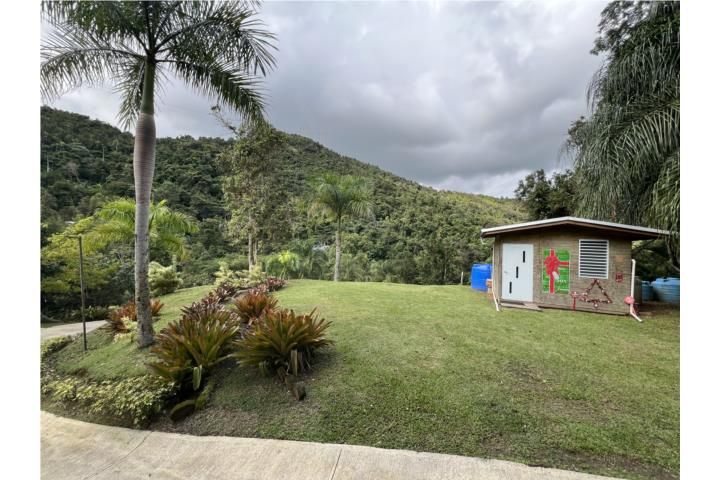 Cedro Cayey 00736 PR