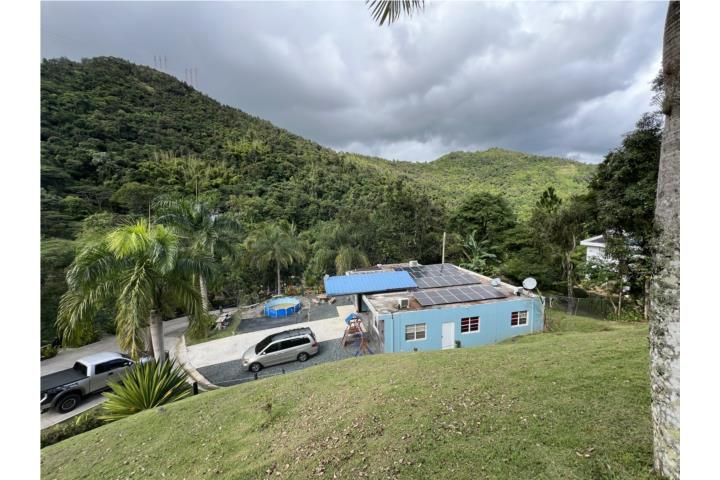 Cedro Cayey 00736 PR