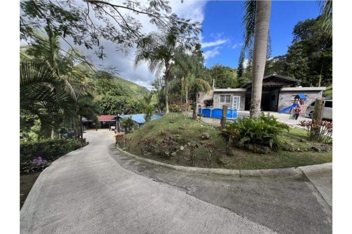 Cedro Cayey 00736 PR