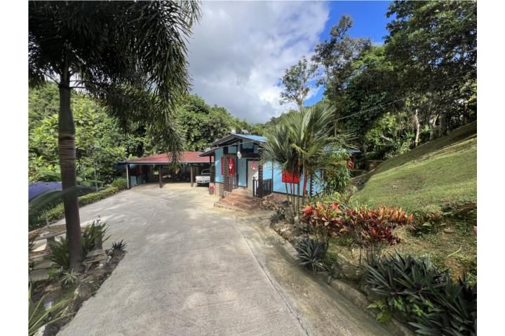 Cedro Cayey 00736 PR