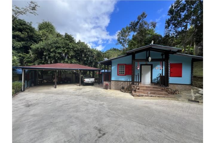 Cedro Cayey 00736 PR