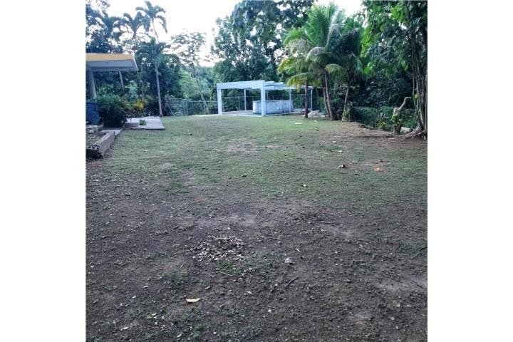Palmarejo Corozal 00783 PR
