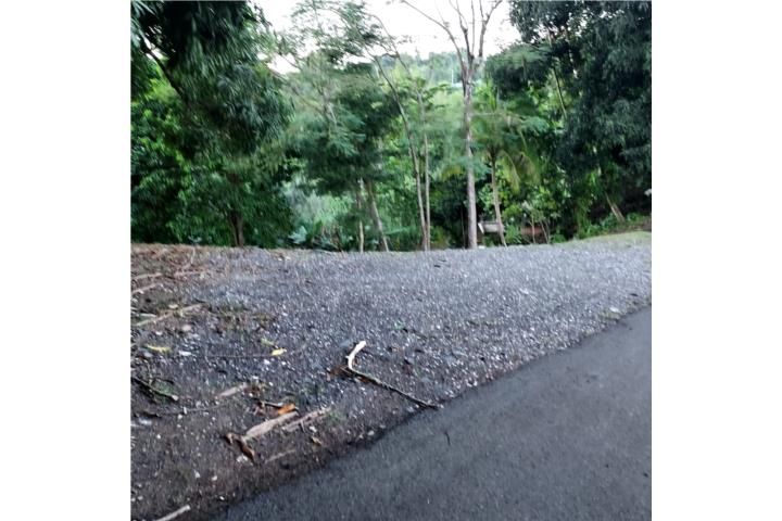 Palmarejo Corozal 00783 PR