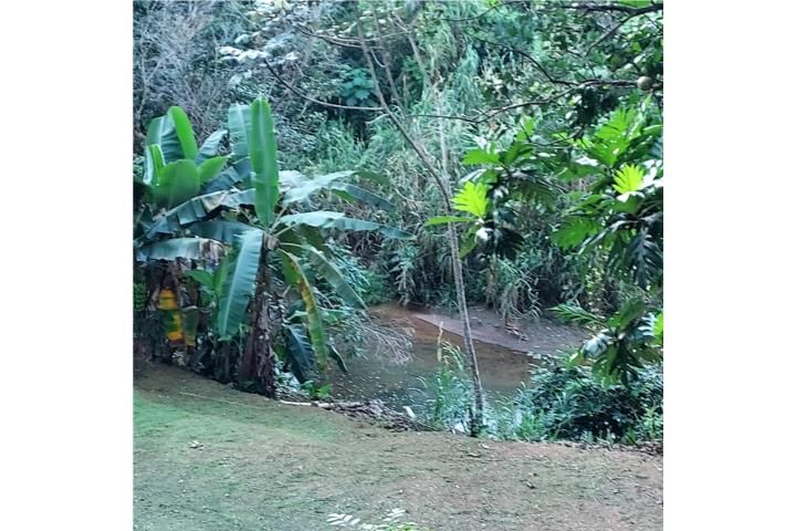 Palmarejo Corozal 00783 PR