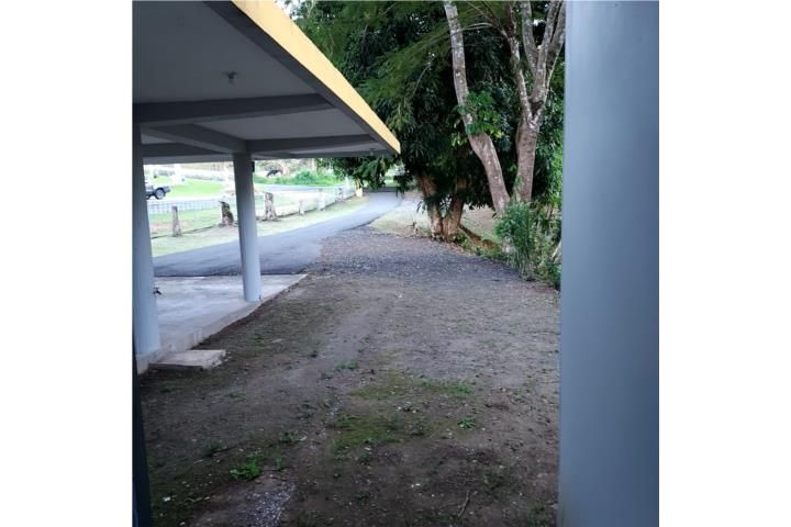 Palmarejo Corozal 00783 PR
