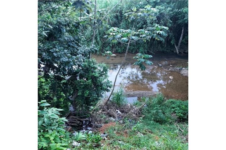 Palmarejo Corozal 00783 PR