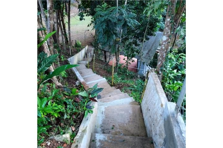 Palmarejo Corozal 00783 PR