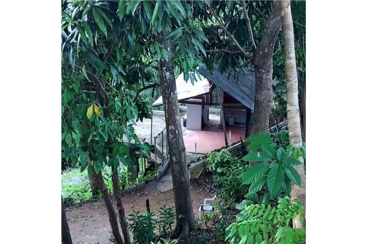 Palmarejo Corozal 00783 PR