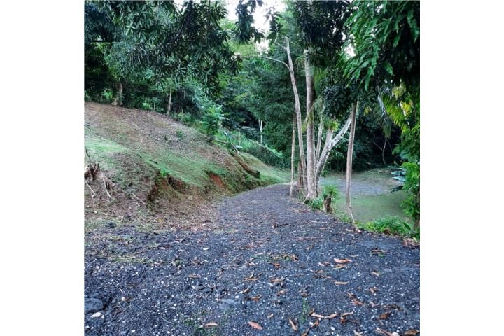 Palmarejo Corozal 00783 PR