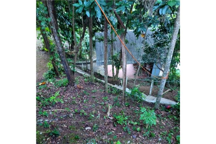 Palmarejo Corozal 00783 PR