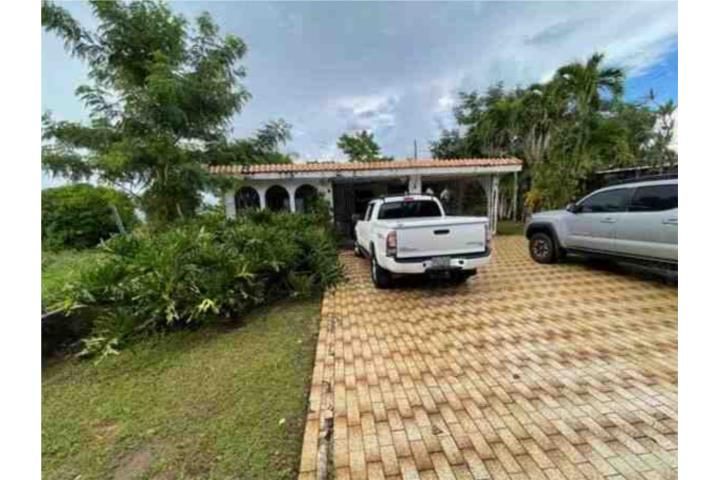 C. Buena Vista Bayamon 00957 PR