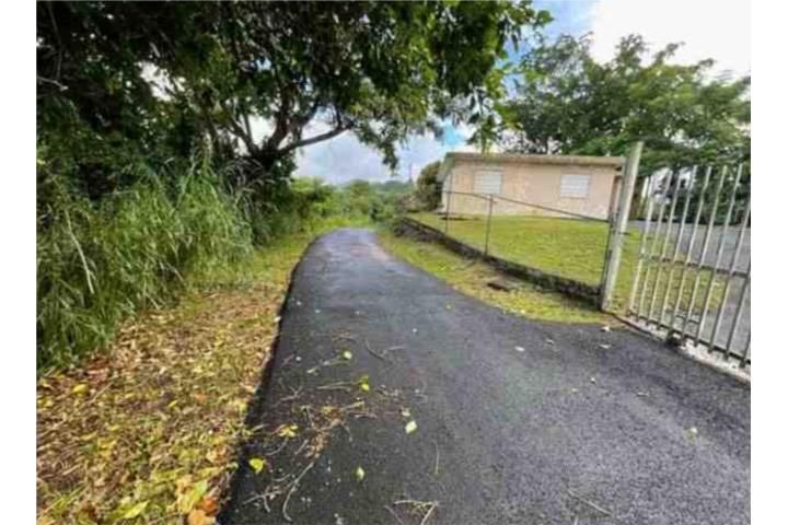 C. Buena Vista Bayamon 00957 PR