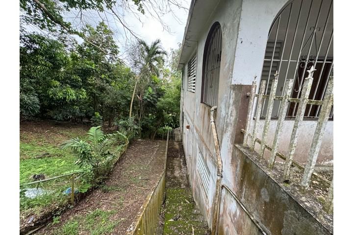 C. Buena Vista Bayamon 00957 PR