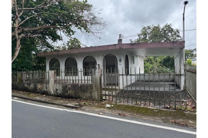 C. Buena Vista Bayamon 00957 PR