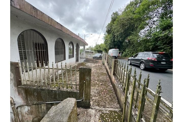 C. Buena Vista Bayamon 00957 PR