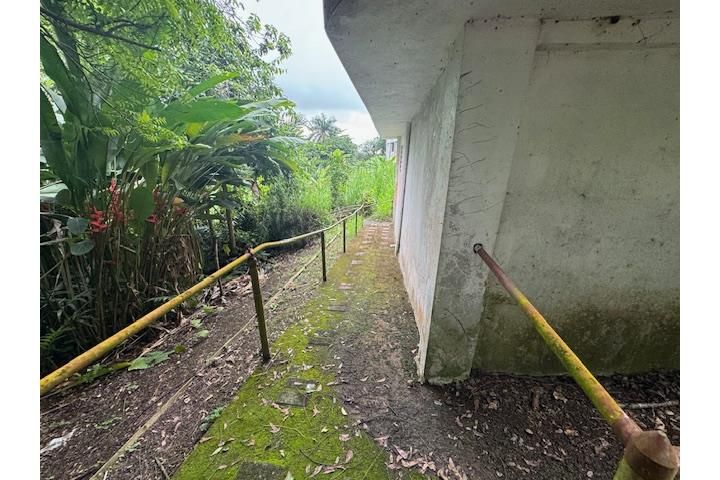 C. Buena Vista Bayamon 00957 PR