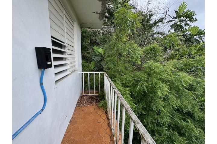 C. Buena Vista Bayamon 00957 PR