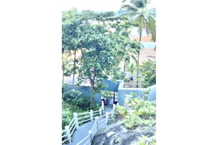 Sandy Hills Luquillo 00773 PR