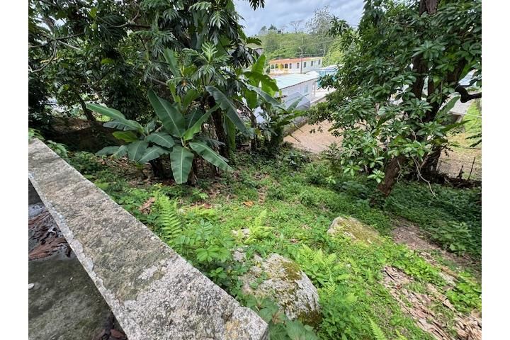 Barahona Morovis 00687 PR