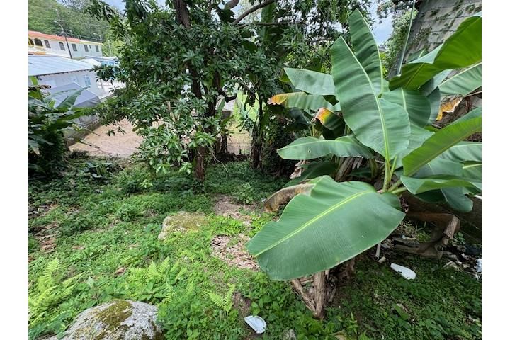 Barahona Morovis 00687 PR