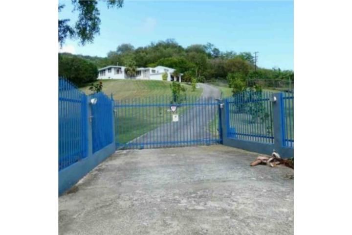 Cambalache Yauco 00698 PR