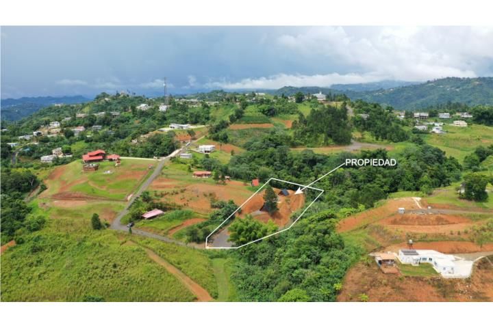 Barriobarros Orocovis 00720 PR