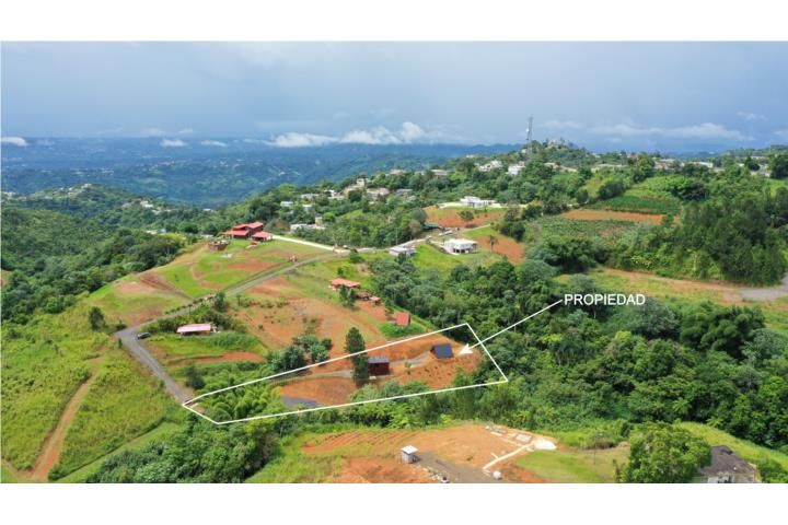 Barriobarros Orocovis 00720 PR