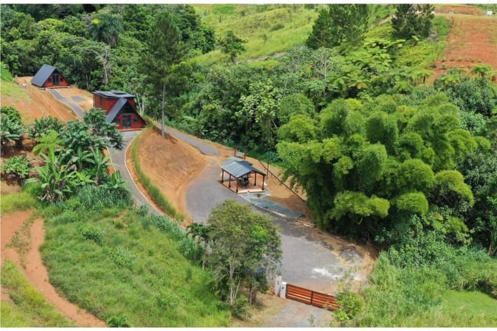 Barriobarros Orocovis 00720 PR
