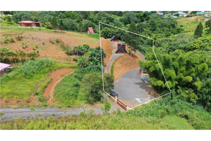 Barriobarros Orocovis 00720 PR