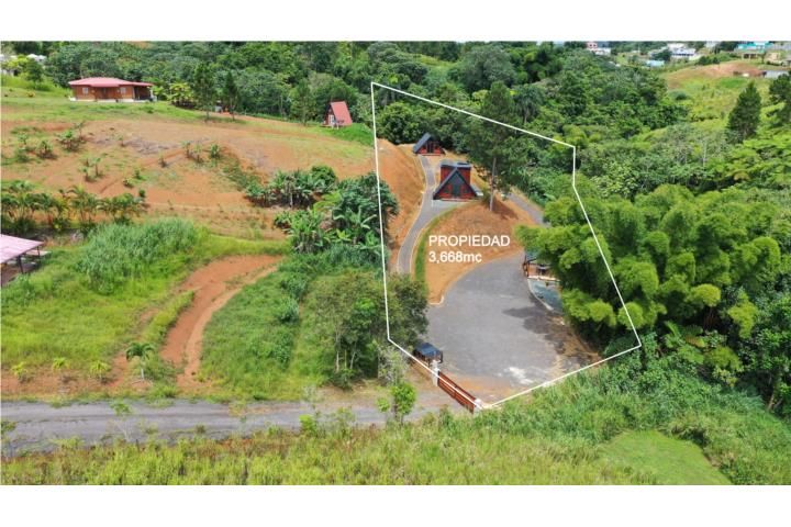 Barriobarros Orocovis 00720 PR