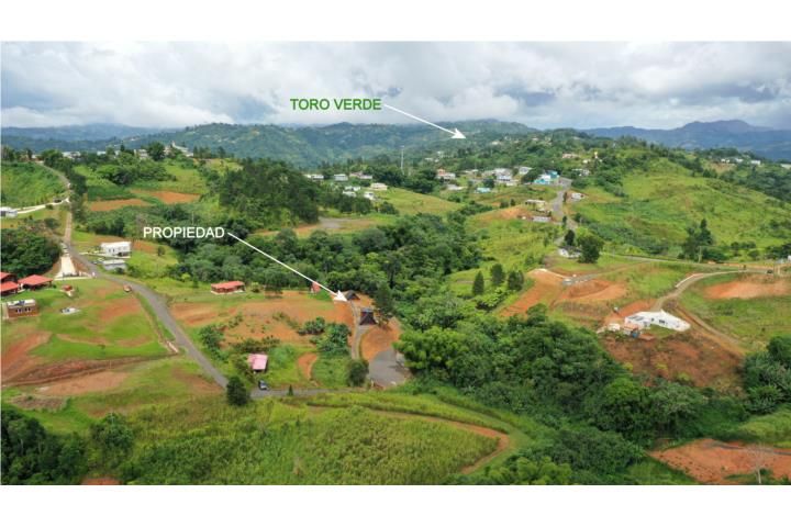 Barriobarros Orocovis 00720 PR