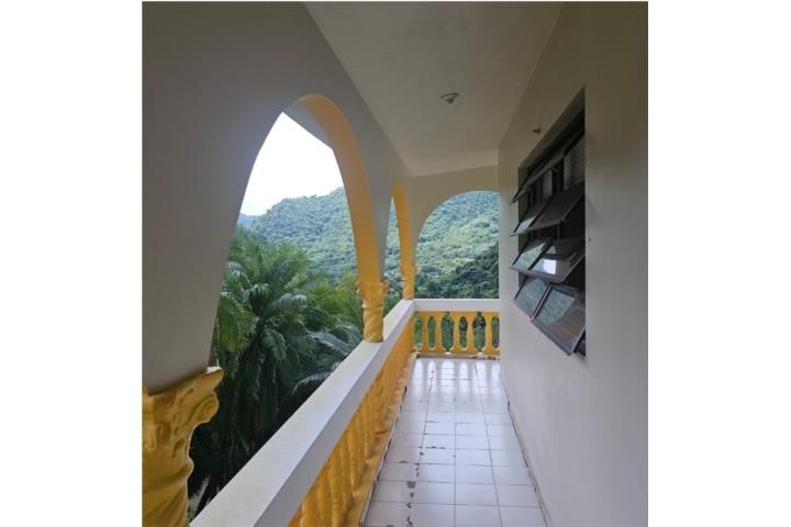 6fhv+x48 Orocovis 00638 PR