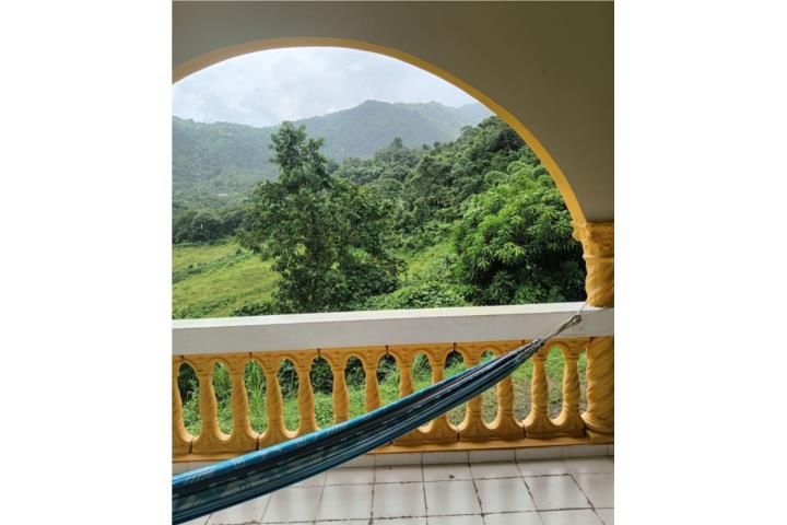 6fhv+x48 Orocovis 00638 PR