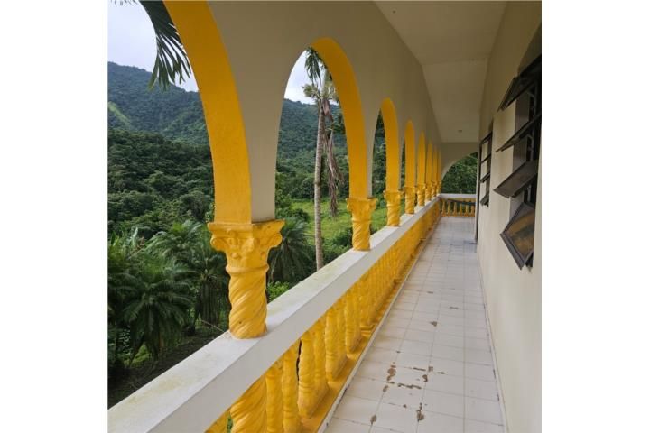 6fhv+x48 Orocovis 00638 PR