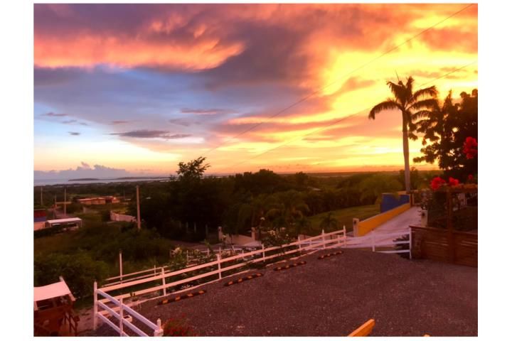 El Combate Cabo Rojo 00622 PR