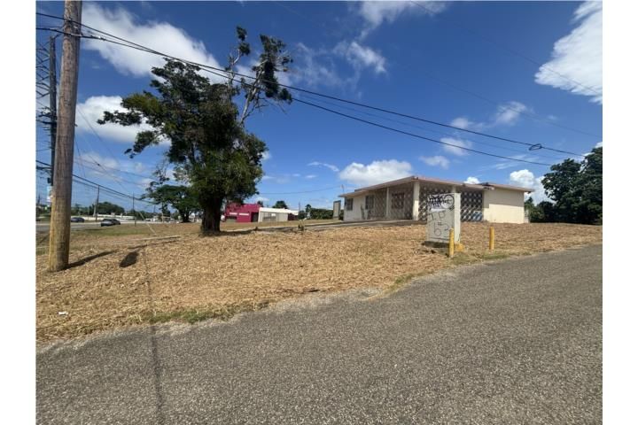 Caimital Alto Aguadilla 00603 PR