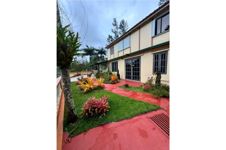 C. Guaraguao Ponce 00716 PR