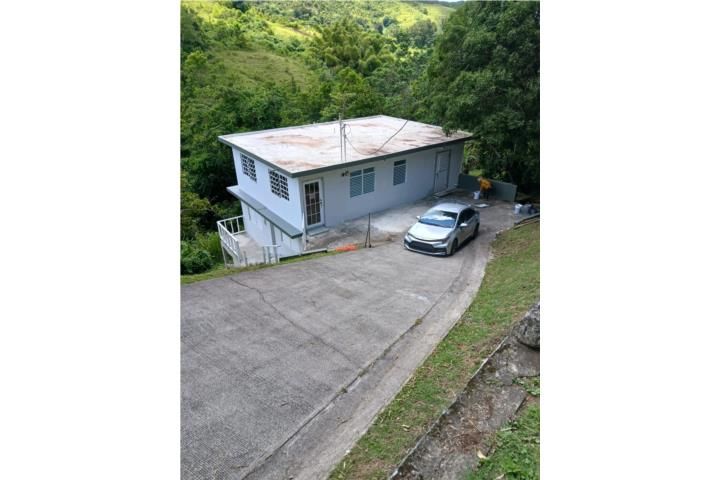 Toíta Cayey 00736 PR