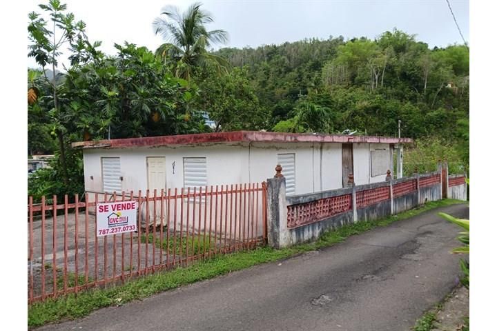 Gurabo Abajo Juncos 00777 PR